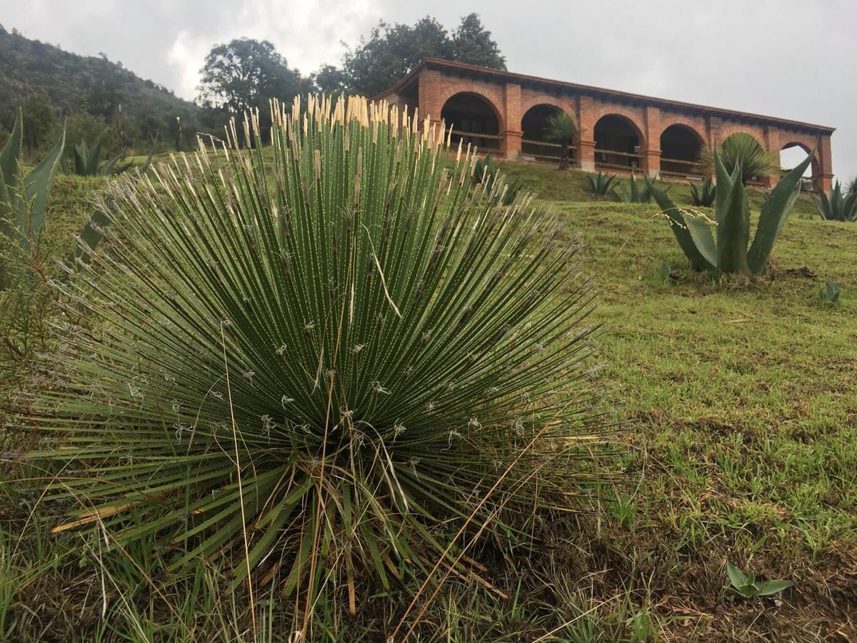 Rancho Escondido Casa Goyri Tlaxco Exterior foto